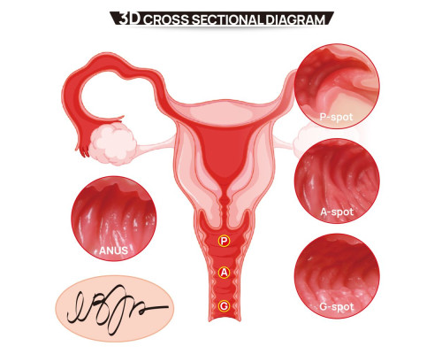 Мастурбатор-полуторс с двойным слоем материала Vanilla Onahole