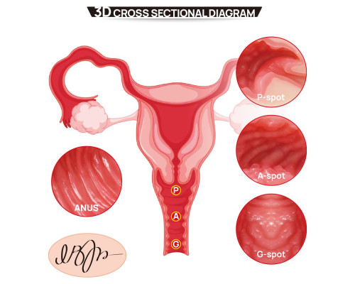 Мастурбатор-полуторс с двойным слоем материала Vanilla Onahole Real Vagina