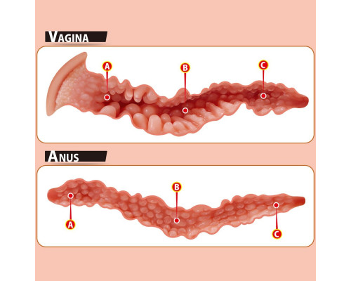 Телесный мастурбатор-полуторс ONAHOLE 01 с двумя любовными отверстиями