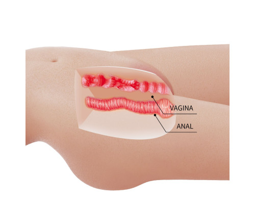 Телесный мастурбатор-торс Mia
