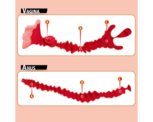 Мастурбатор-полуторс Adel с двумя любовными отверстиями