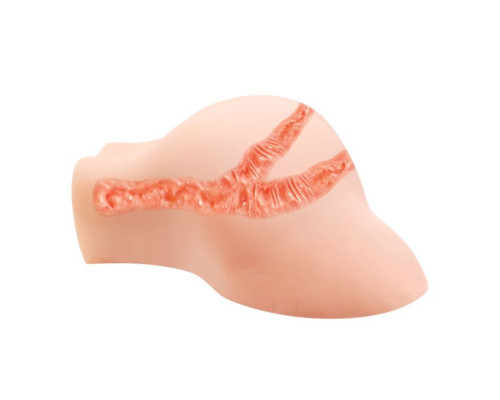 Телесная вибровагина Julie с 2 рабочими отверстиями