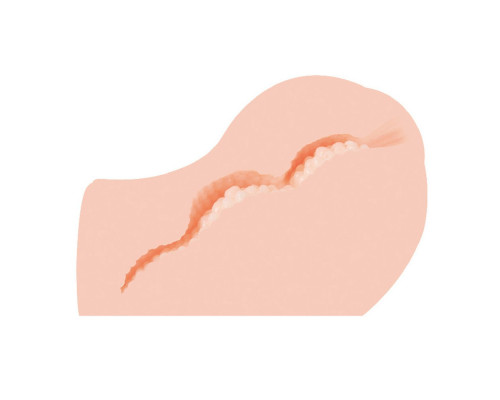 Мастурбатор-полуторс Angel без вибрации