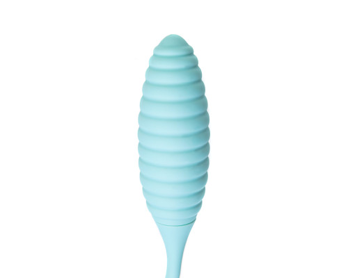 Голубое виброяйцо с вакуум-волновым стимулятором клитора Roow