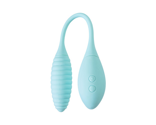 Голубое виброяйцо с вакуум-волновым стимулятором клитора Roow